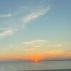 alison_pardue